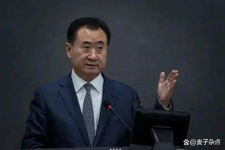 王健林目前经济情况_王健林对中国经济的贡献_王健林与新经济形势的应对