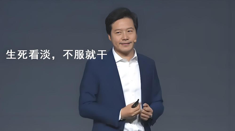 雷军的战略思维_雷军的个人魅力和决策力_雷军的商业智谋与决策能力