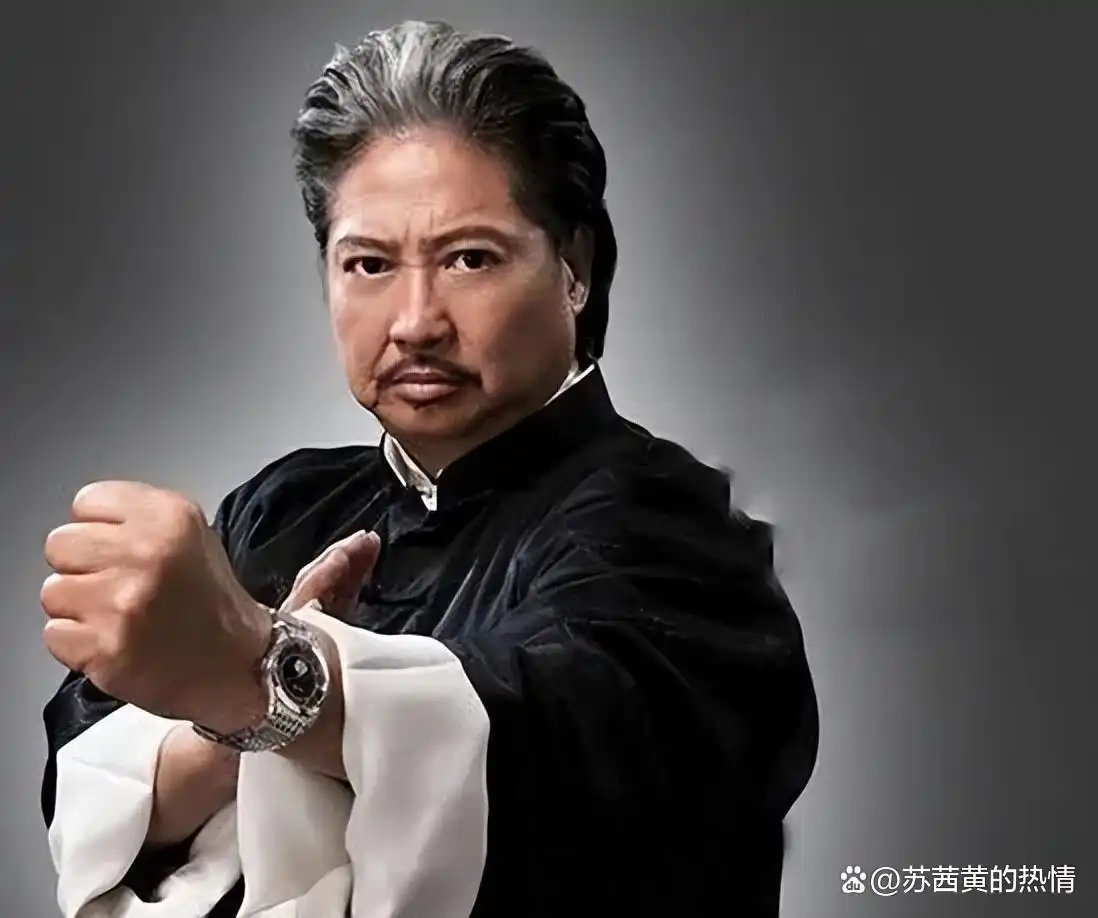 洪金宝对新人演员的扶持与培养_洪金宝新徒弟_洪金宝签约公司