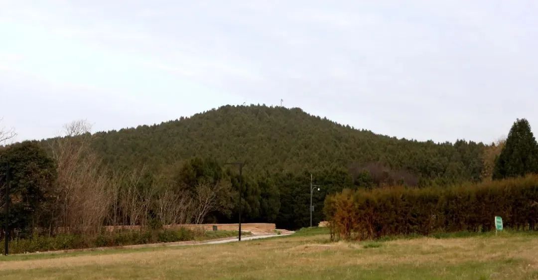 秦王嬴政的历史遗产与影响_嬴政的遗嘱_嬴政的继承者