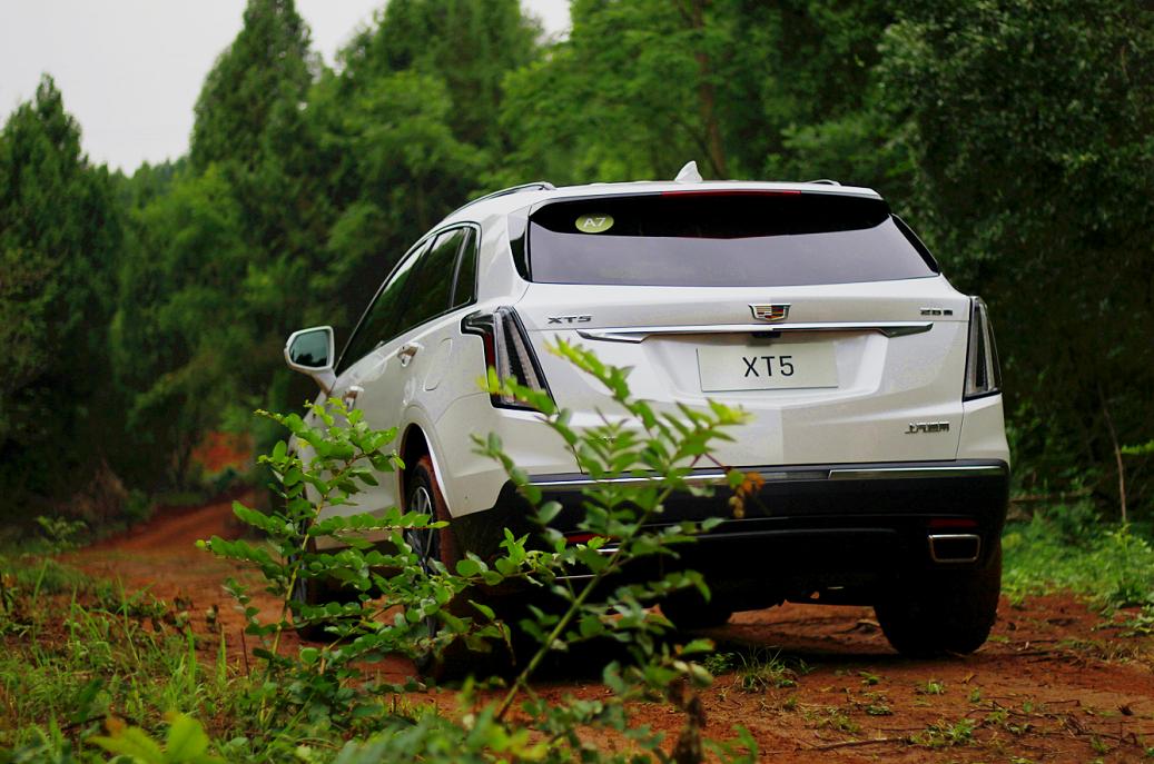 凯迪拉克的家_凯迪拉克家庭版_凯迪拉克的家庭车型与实用性