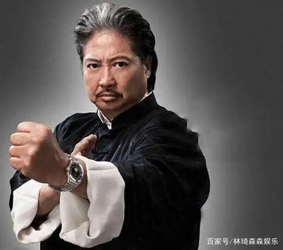 洪金宝培养的明星_洪金宝对新人演员的扶持与培养_洪金宝签约公司