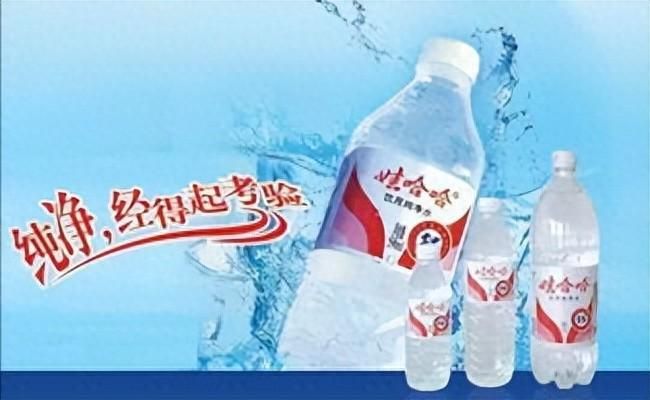 农夫山泉的定位分析_农夫山泉的市场定位与钟睒睒的思考_农夫山泉的市场定位是什么