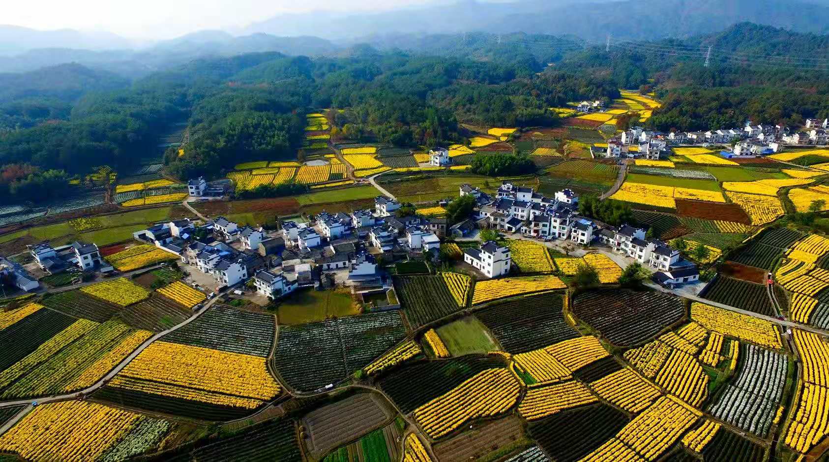 演义萧何形象历史中的人物_萧何的形象_萧何在历史演义中的形象