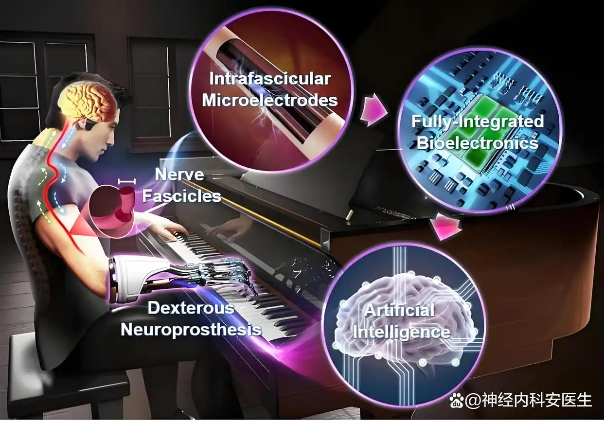 脑机接口技术探索：马斯克宣告2025年Neuralink将为患者实施植入计划_马斯克登陆火星计划_脑白质营养不良植入前诊断