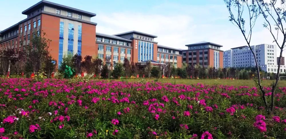 无人机表演中使用的常见软件与工具_无人机表演设备多少钱_表演用的无人机是什么牌子