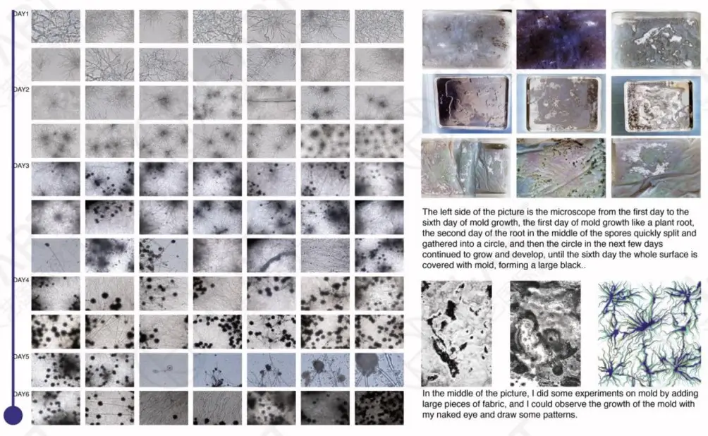 朱茵的视觉艺术与创作灵感_朱茵的视觉艺术与创作灵感_朱茵的视觉艺术与创作灵感