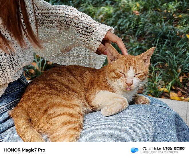 华为亮点功能介绍页面_华为亮点_荣耀的Magic UI：用户体验与功能亮点