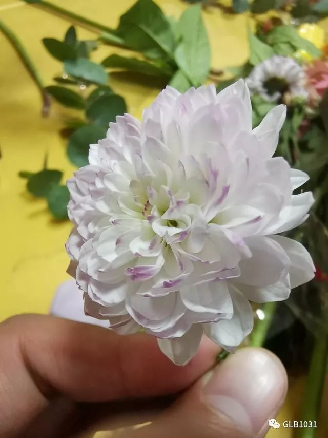 华为手机配件知识_华为配件升级_华为配件如何提升手机功能性？