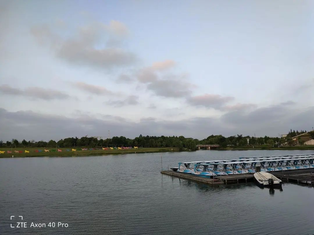 中兴2021手机评测_中兴手机的游戏性能与流畅度评测_中兴手机性能如何