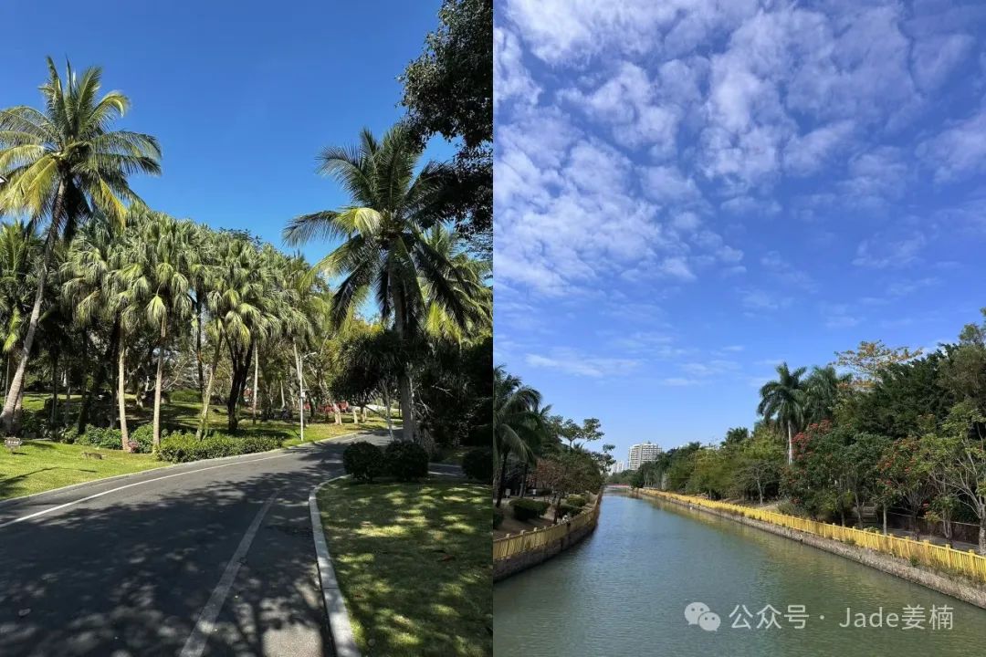 数字货币稳定币_USDT：稳健投资的数字货币_usdt稳定币原理