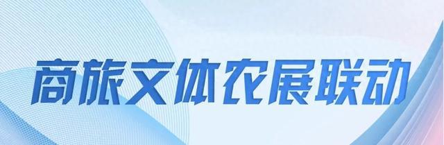 无人讲解_坛胡博轩讲述张辛昕的故事_如何通过无人机表演讲述故事？