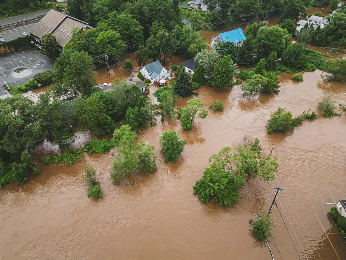 如何利用BNB币进行慈善捐款：推动社会责任与公益活动_慈善捐赠的意义_慈善机构捐钱