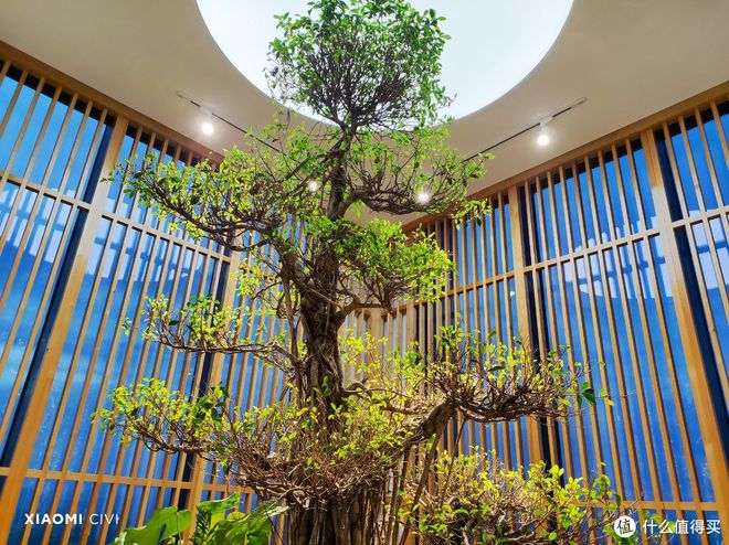 小米追求性价比_追求性价比：用户为何选择小米手机？_小米性价追求手机用户选择哪个