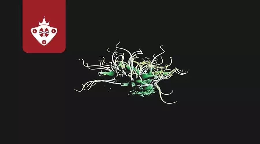 摄像头环境模式选择_TP-Link摄像头的环境适应能力强大_摄像头方案有哪些