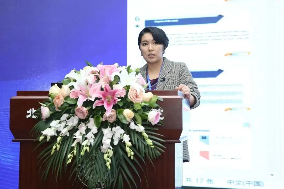 研究数字资产在气候变化中的创新解决方案：推动绿色项目的实践_绿色资产定义_绿色资产证券化现状