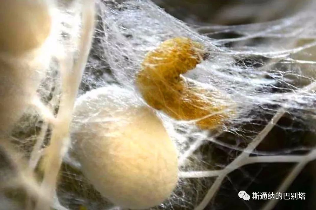 胖东来如何深刻理解顾客需求背后的思考_胖东来如何进行客户关系管理_胖东来服务细节有什么启发