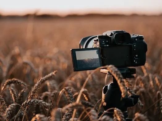 fil币2023价格预测_2023年华为新机型预测：你想要的都在这里_胜为udc2023驱动下载